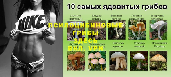 ECSTASY Алексеевка