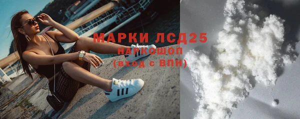 ПСИЛОЦИБИНОВЫЕ ГРИБЫ Магас