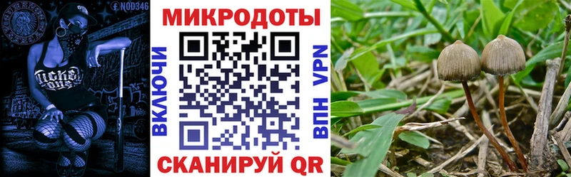 Псилоцибиновые грибы ЛСД  МЕГА зеркало  Щёкино 